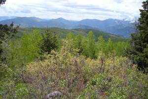 North Fork Ridge