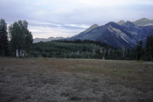 Pine Hollow Peak