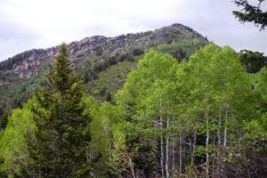 Thayne Peak