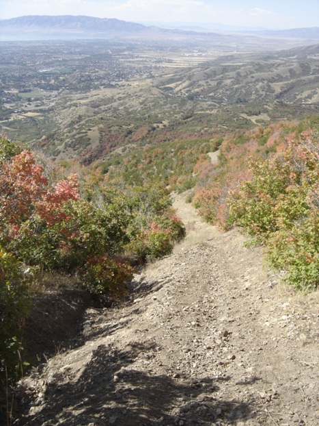 Trail to Upper Bells