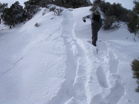 Snowshoeing on Dutch Mountain