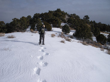 Snowshoeing the ridgeline