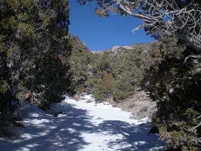 Hiking the dry wash