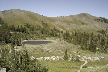 Willard Basin