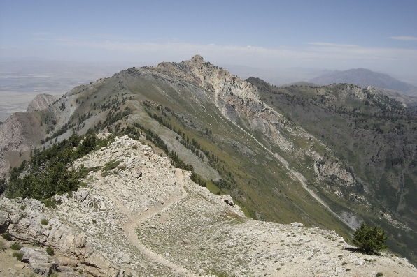 Willard Peak