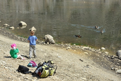 Feeding the ducks