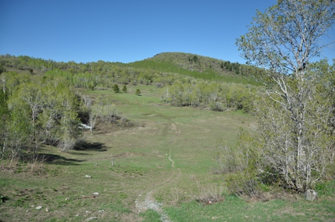 Buffalo Peak 