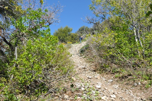 Route up Buffalo Peak