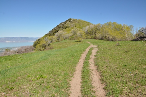 summit of Buffalo Peak