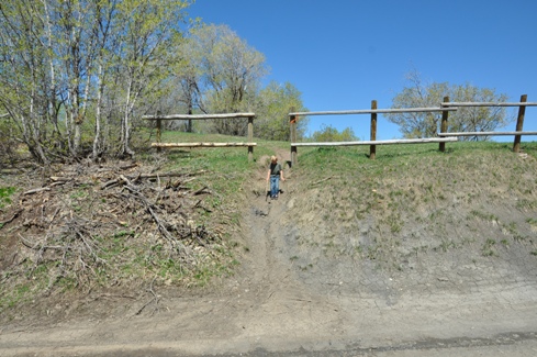 Buffalo Peak trailhead