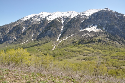 Cascade Mountain