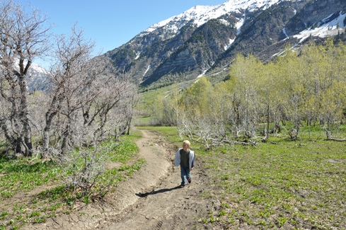 Buffalo Peak trail