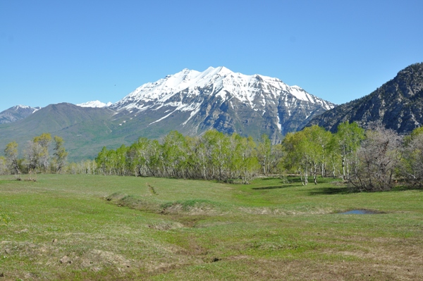 Mount Timpanogos