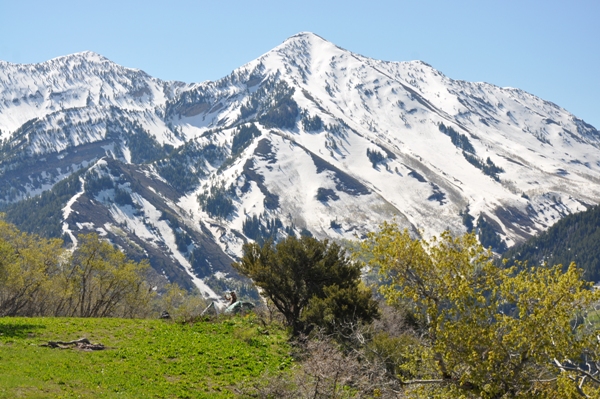 Provo Peak