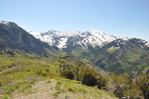 Provo and Freedom Peaks