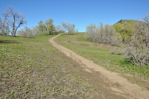 Buffalo Peak trail