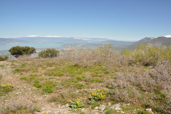 Northern Utah County