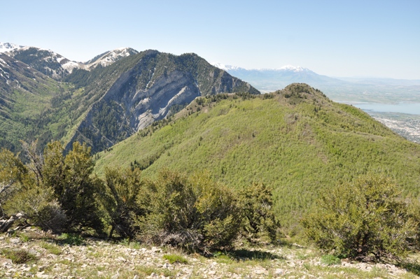 Y Mountain and Squaw Peak