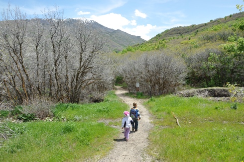 Coyote Hollow Trail