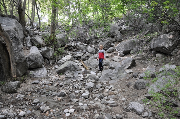 Lisa Falls trail