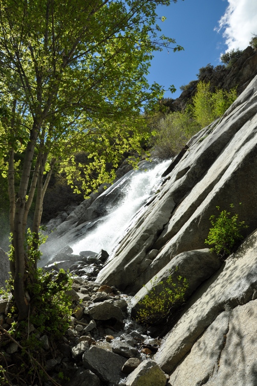 Lisa Falls