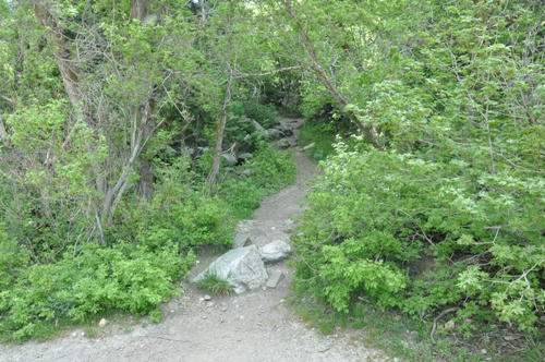 Lisa Falls Trail