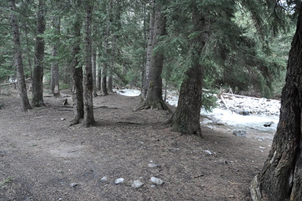 Little Cottonwood Creek