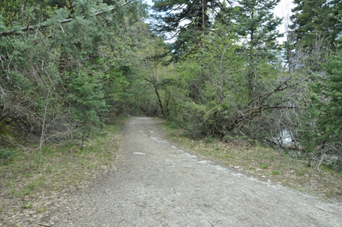 Little Cottonwood Trail