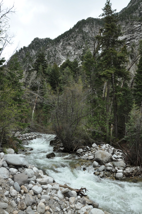 Little Cottonwood Creek