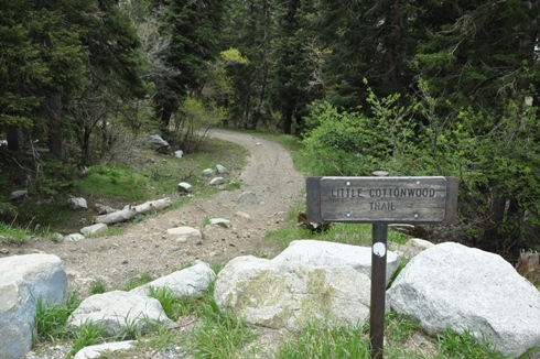 Little Cottonwood Trailhead