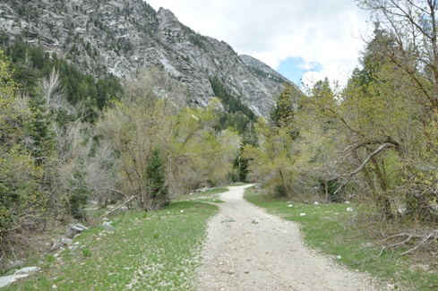 Little Cottonwood Canyon trail