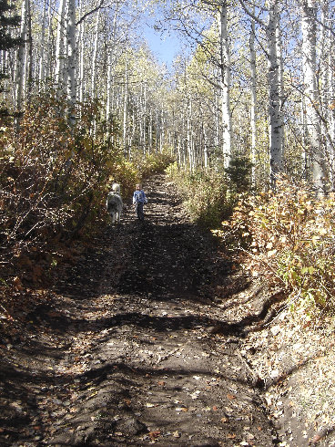 Powerhouse ATV trail