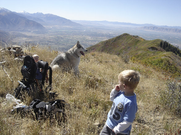 Utah county 