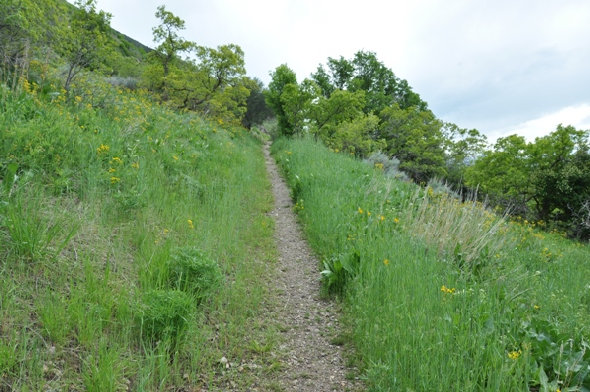 Bonneville Shoreline Trail 