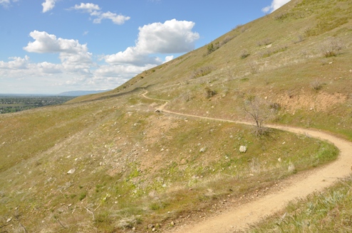 Bonneville Trail