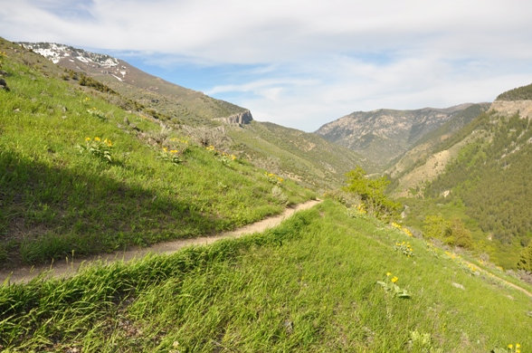 Logan Canyon