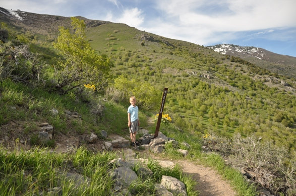 Logan Canyon Trails