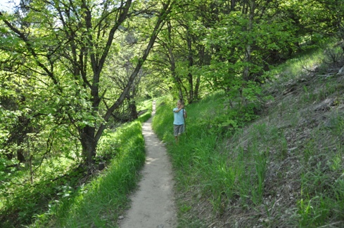 Wind Caves Trail