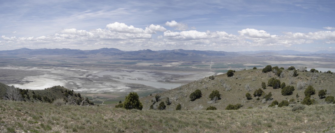 Tintic Mountains 