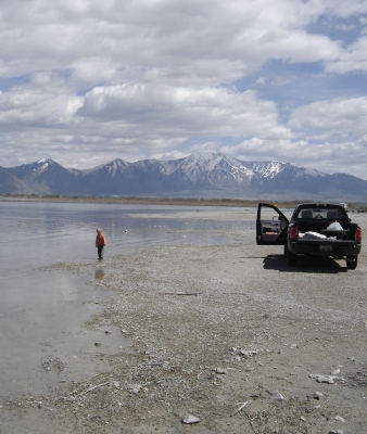 Utah Lake swim