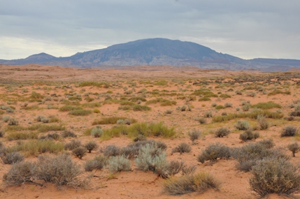 Navajo Mountain