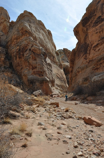 Bell Canyon