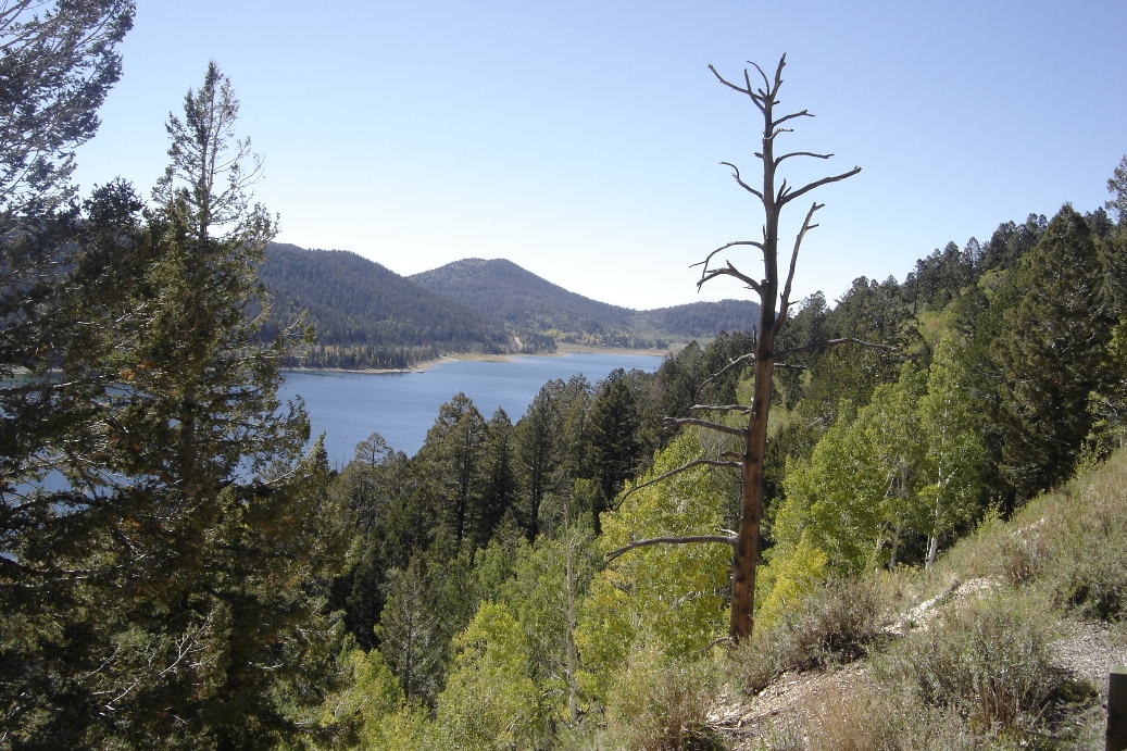 Navajo Lake 