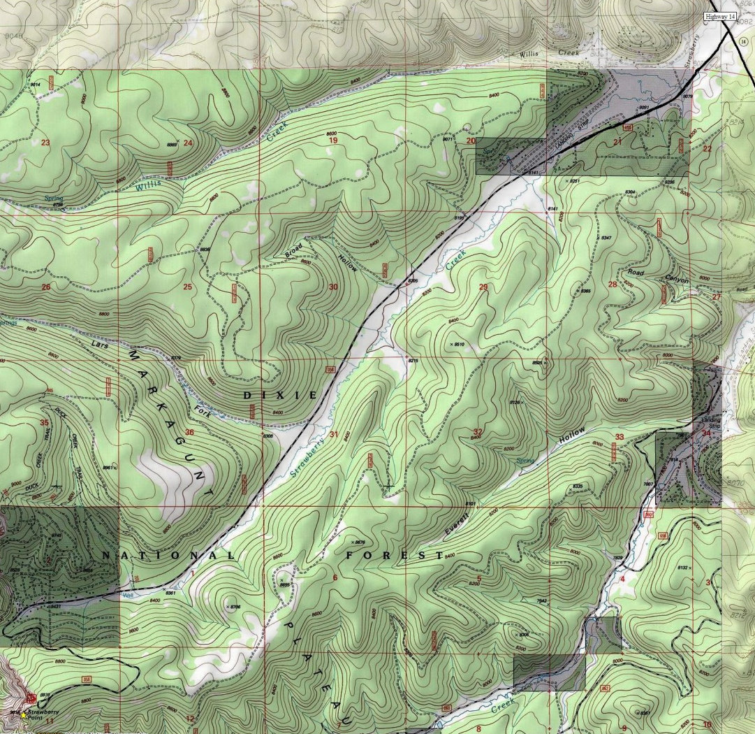 Strawberry Point Map