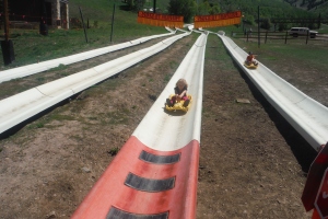 Alpine Slide