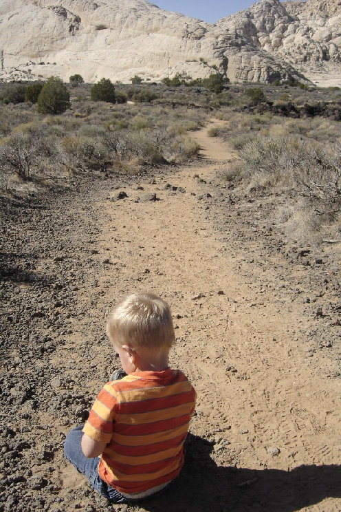 Snow Canyon Trails