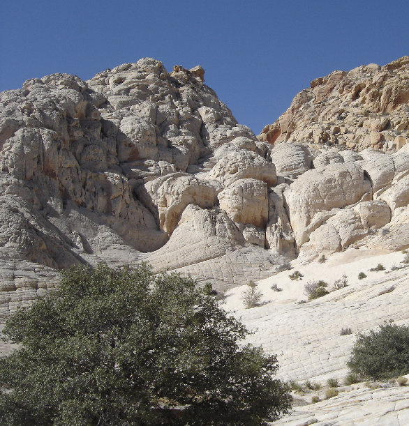 Whiterocks Trail