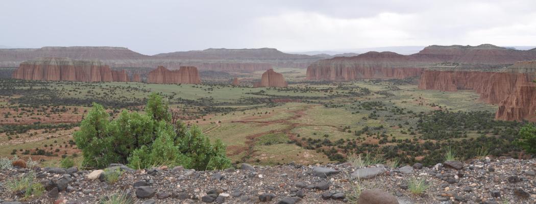 Cathedral Valley 