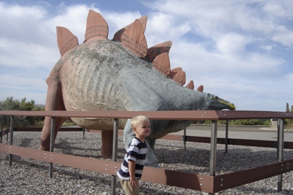 Dinosaur National Monument