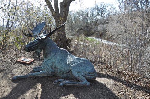 Moose at Red Butte Garden